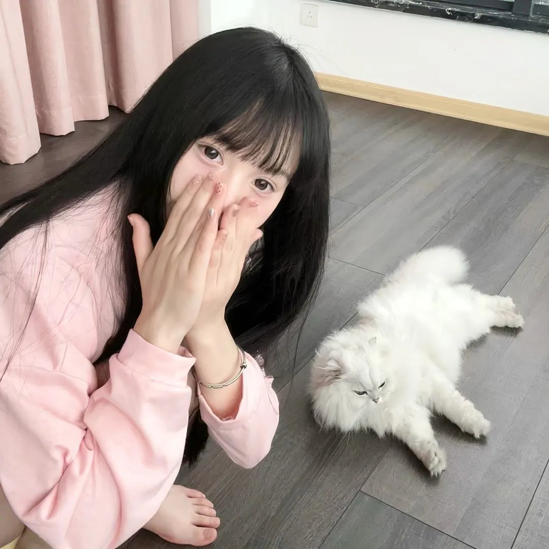 外科医生马丁 第四季
